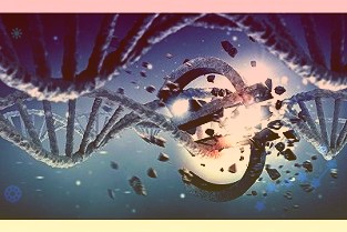 个人自己交社保多少钱2023社保缴费价格表